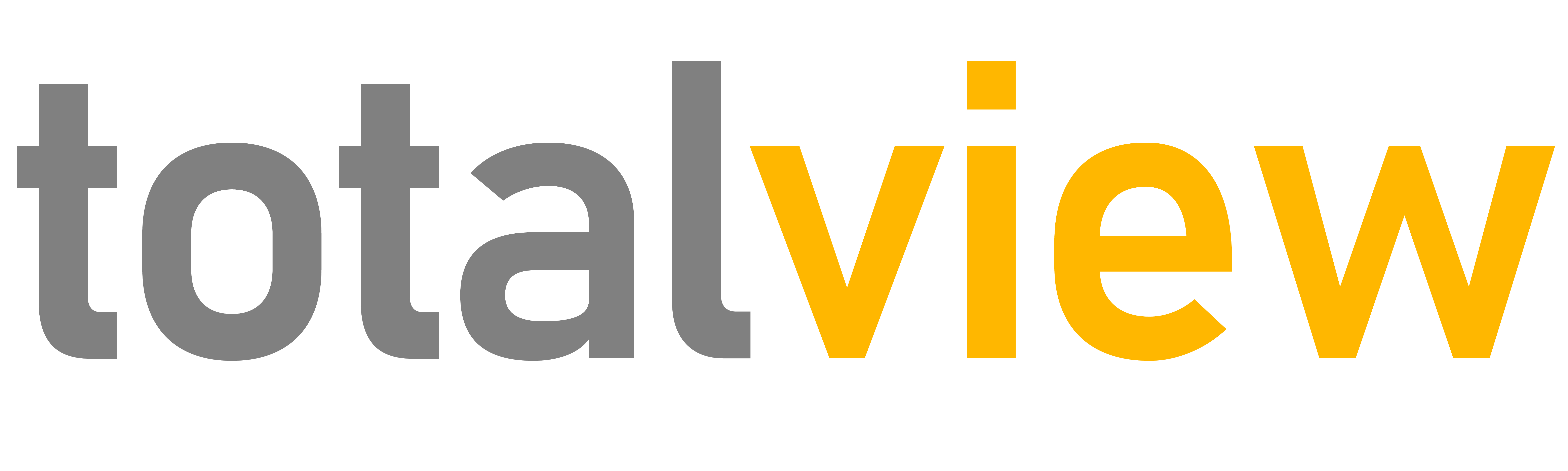 TotalView Logo