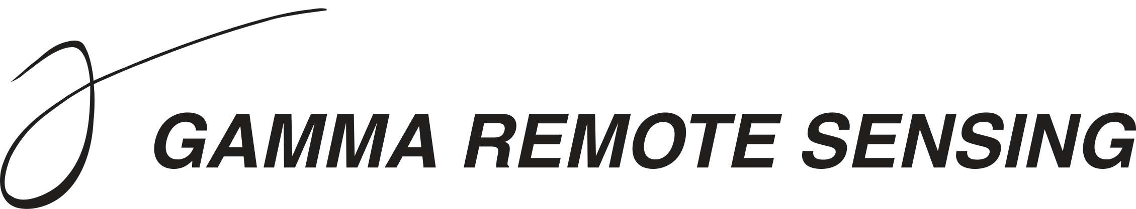 GAMMA Remote Searching Logo